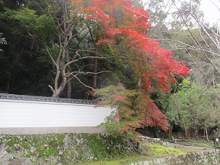 IMG_3494ss.jpg