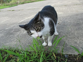 IMG_4498ss.jpg