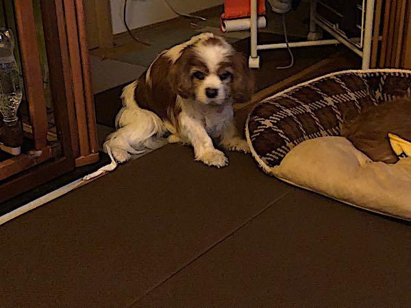 rblog-20180323022948-03.jpg