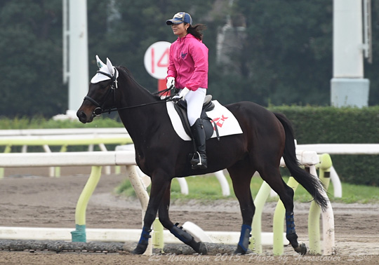 20151123_1417BonnevilleRecord_09