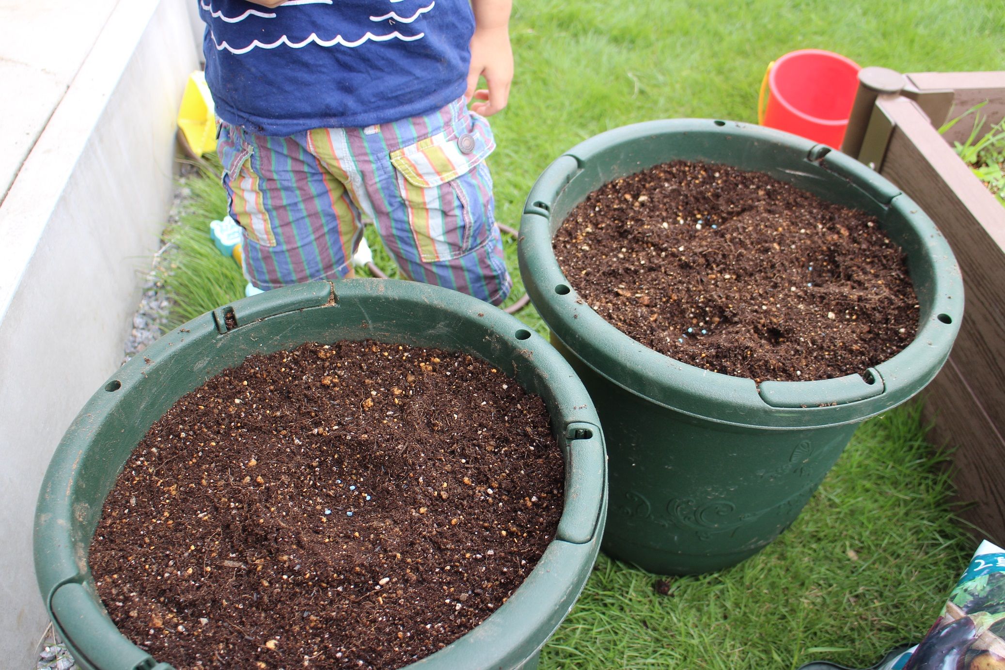 新着記事一覧 Rou S Little Garden 楽天ブログ