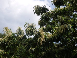 P6240007.JPG