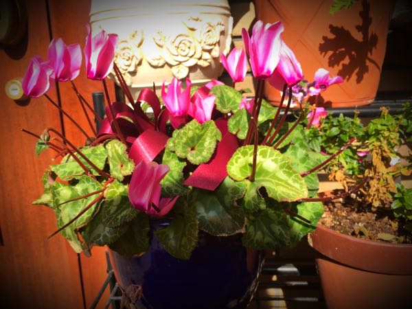 rblog-20160225162138-02.jpg