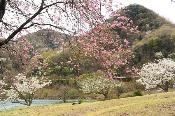 松川湖