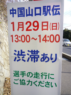 IMG_20170125_142549.jpg
