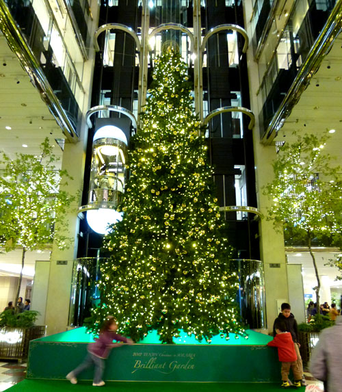 クリスマスツリー１.jpg