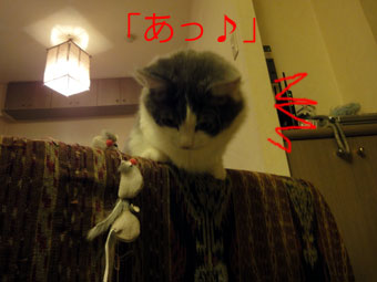 mumu3.jpg