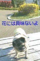 001.JPG