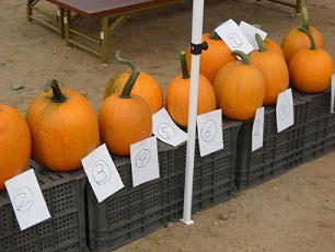 DSCN1190.jpg