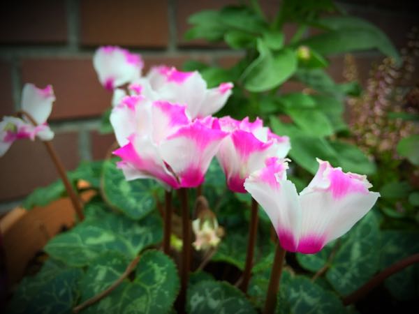 rblog-20151029141004-04.jpg