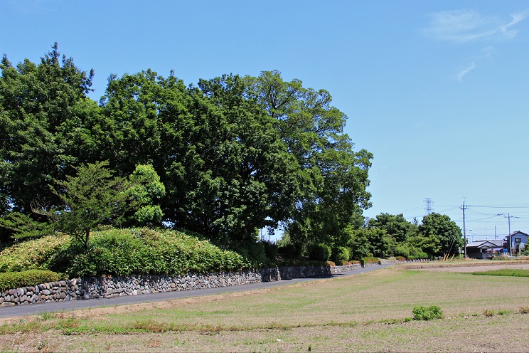 ３.石田提史跡公園.JPG