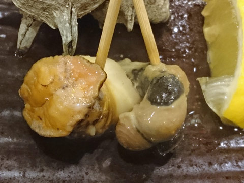 sazae.jpg