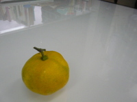 P1100346