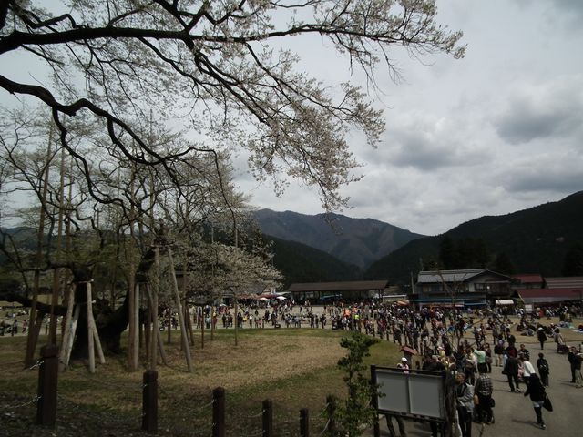DSCF3730.JPG