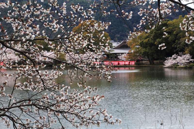 大沢池_004.jpg