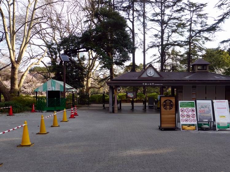 新宿御苑のサクラも満開かな ベルポンのうふふ２ 楽天ブログ