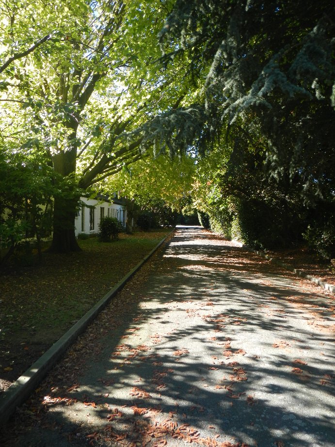IMAGE000.jpg