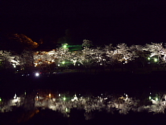 conv0099.JPG
