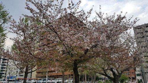 rblog-20180410235834-01.jpg