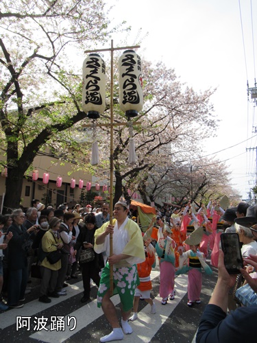 馬込文士村大桜まつり