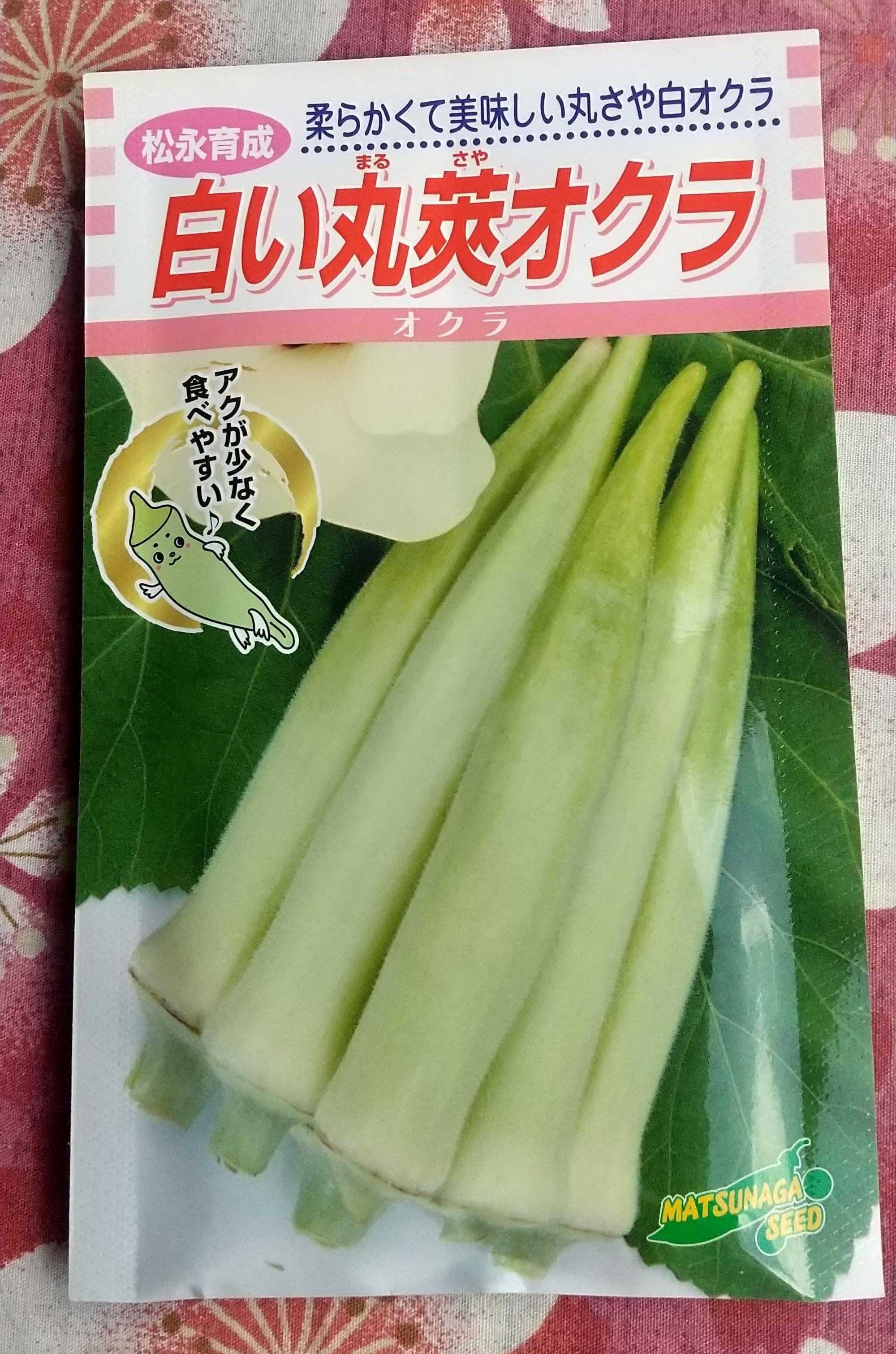 白い丸莢オクラ | アグレアリ ～珍しい野菜の育成記録～ - 楽天ブログ