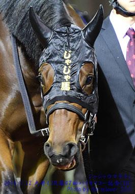 11JajaumaNarashi111214tck11R_02