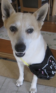 IMG_8747_1.JPG