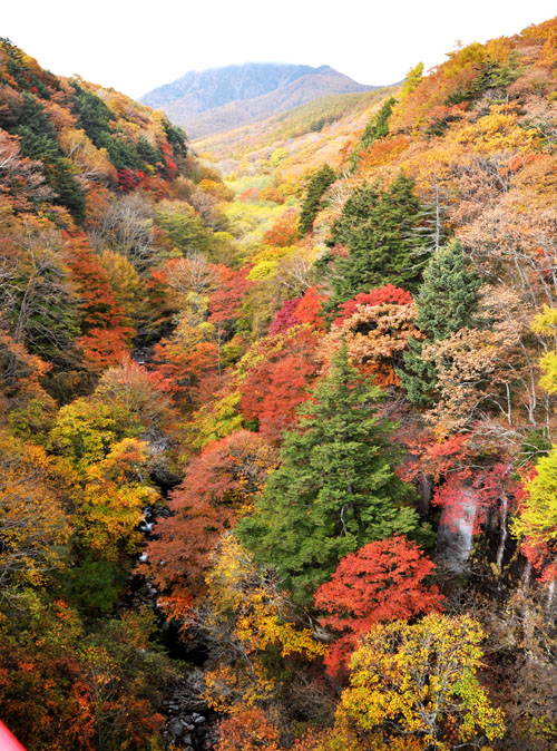 山３