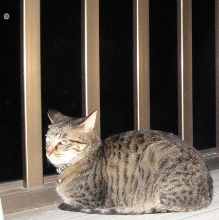DSC01637 - コピー.JPG