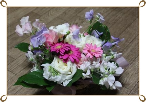 あすなろ動物病院から-1