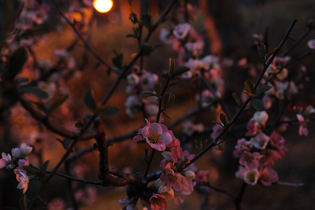 2013.3.22 064.JPG