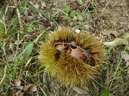 P1050917.JPG