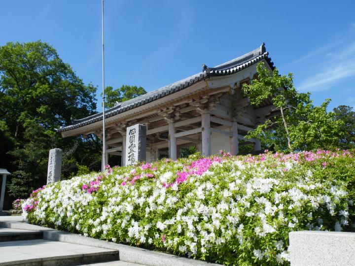 四国遍2-9a屋島寺84.JPG