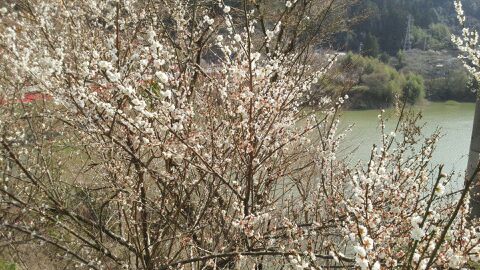 rblog-20150322163019-02.jpg