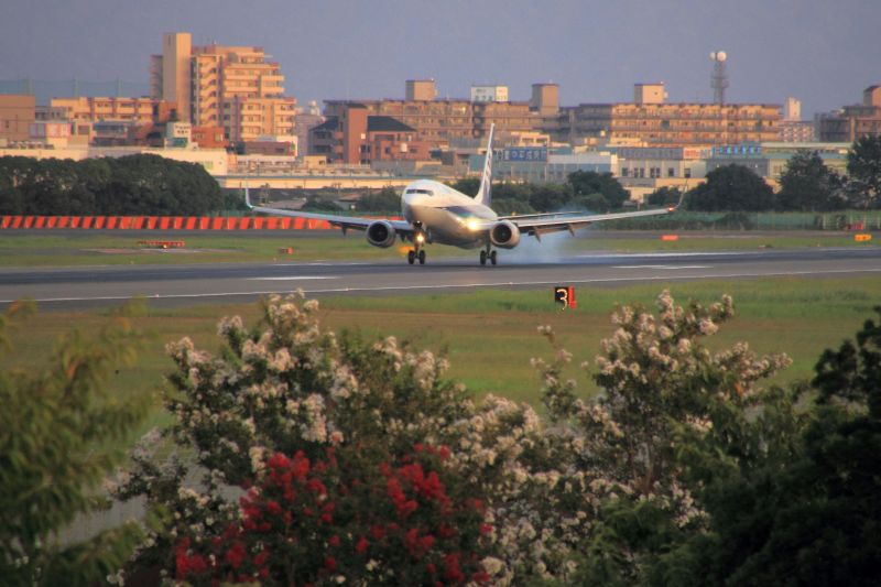 大阪空港スカイパーク_007着陸.jpg
