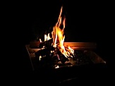 IMG_2959.JPG