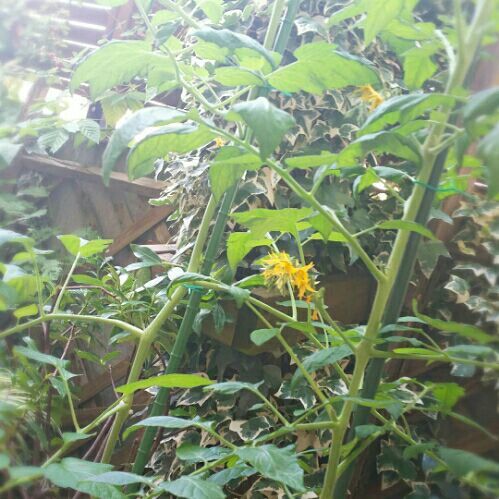 rblog-20180602190123-06.jpg