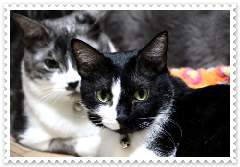 蓮 ＆ 花梨 13.1.11