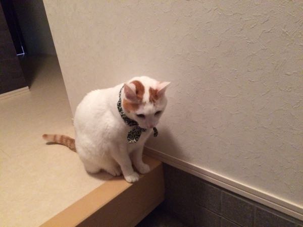 rblog-20150209062451-01.jpg
