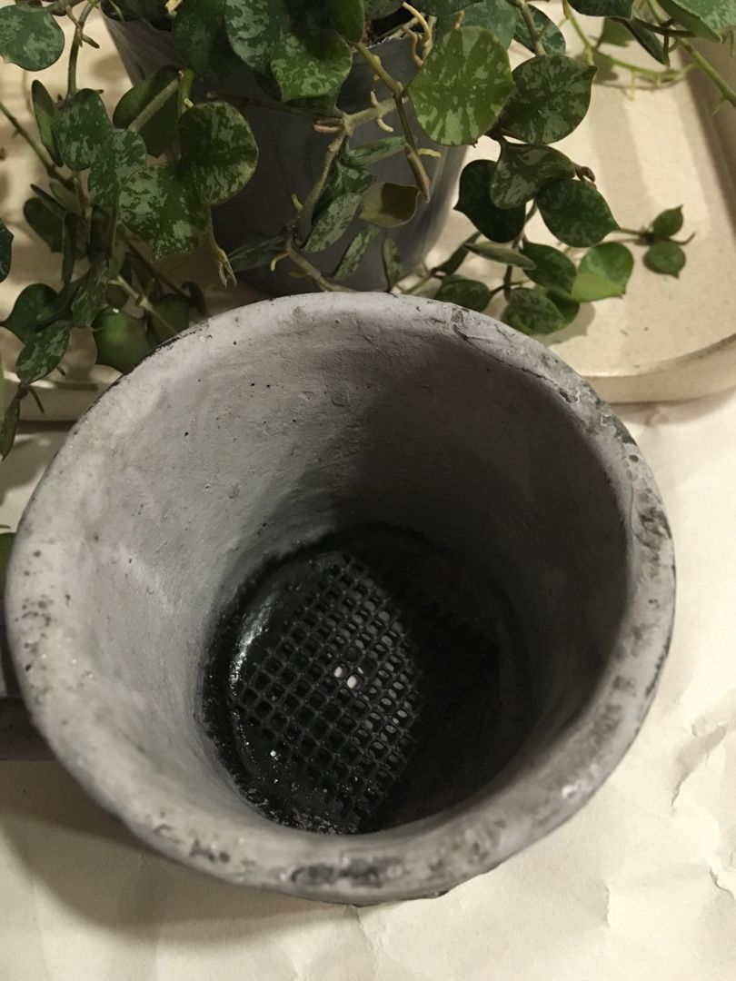 多肉植物 ハートカズラ仕立て直し Loveplants 楽天ブログ 多肉植物 ハートカズラ仕立て直し Loveplants 楽天ブログ