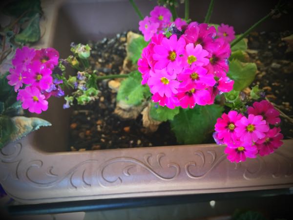 rblog-20150227215758-01.jpg