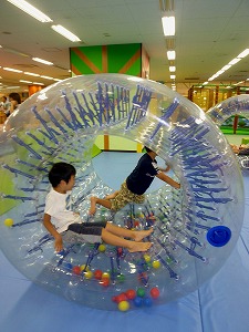 20120820c.jpg