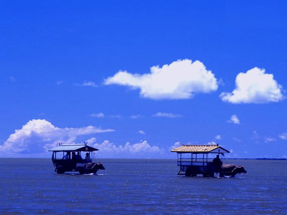 画像はイメージです