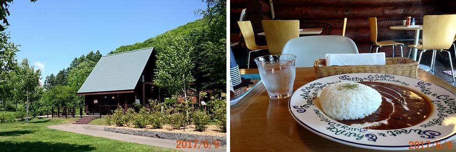 ６／９今日の昼食.jpg