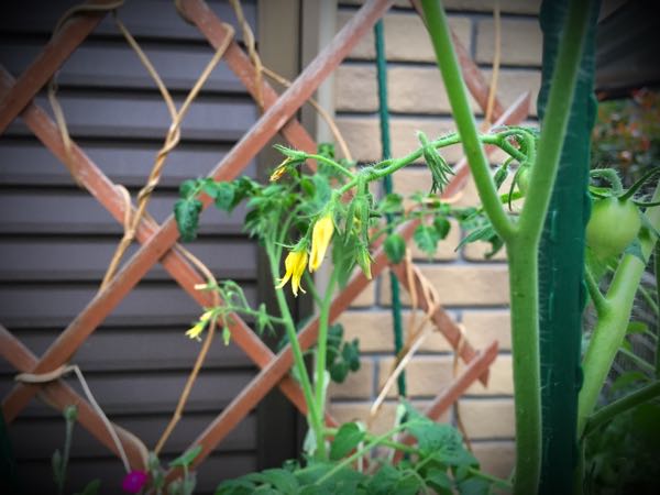 rblog-20160627210333-06.jpg