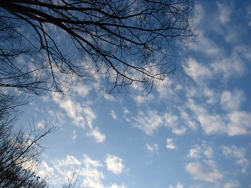 IMG_7496.JPG