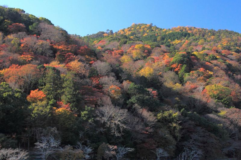 嵐山_002嵐山.jpg