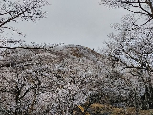 塔ノ岳 2 「YAMAP 登山・アウトドアの新定番」アプリに大満足 | 足柄山 徘徊 & 絵手紙 - 楽天ブログ