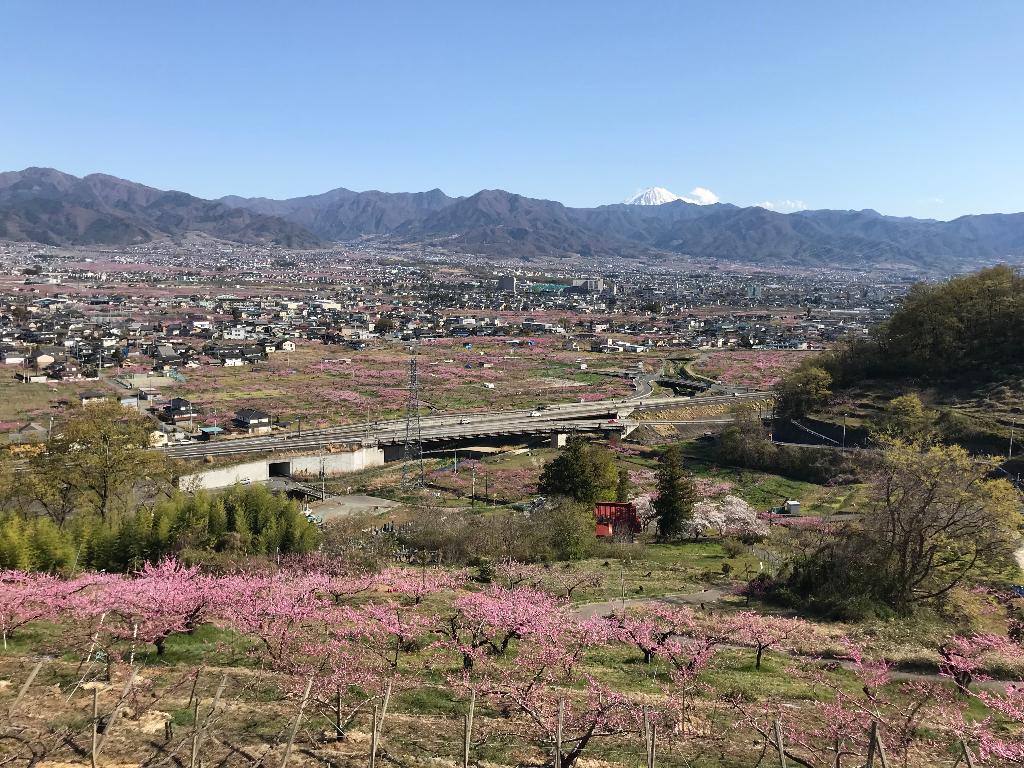 桃源郷 醍醐山と下部 しもべ 温泉 楽天ブログ