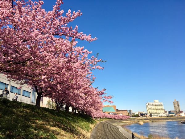 rblog-20180319000312-01.jpg